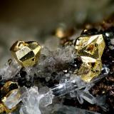 Gold from Verespatak (former name in the Austro-Hungarian empire of the current Rosia Montana, Rumania)
Field of view: 1.8 mm (Author: Rewitzer Christian)