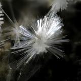 Vladimirite from Aït Ahman, Bou Azzer, Tazenakht, Morocco.
Field of view: 0.8 mm (Author: Rewitzer Christian)