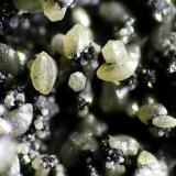 Pyromorphite on Descloizite from Las Niñas Mine, Rodalquilar, Almería, Spain.
Field of view: 1.8 mm (Author: Rewitzer Christian)