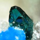 Lammerite from El Guanaco Mine, Antofagasta, Chile.
Field of view: 3.8 mm (Author: Rewitzer Christian)