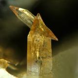 Titanite from Montenero Quarry, Onano, Viterbo, Lazio, Italy.
Field of view: 1 mm (Author: Rewitzer Christian)