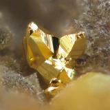 Gold xl (!) Maria Josefa Mine, Rodalquilar, Almería, Spain  0,2 mm (Author: Rewitzer Christian)