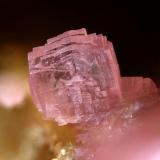 Talmessite, Bou Azzer, Morocco  1.5 mm (Author: Rewitzer Christian)