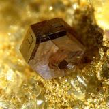 Vanadinite, Albuñuelas, Granada, Spain  2 mm (Author: Rewitzer Christian)