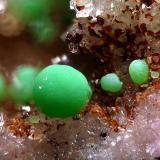 Conichalcite - María Josefa Mine, Rodalquilar, Almería, Spain (Author: Rewitzer Christian)