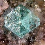 Fluorite - Papiol, Barcelona, Spain (Author: Rewitzer Christian)