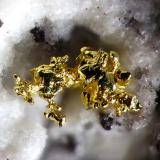 Gold
María Josefa Mine, Rodalquilar, Níjar, Almería, Andalucía, Spain
fov 0.5 mm (Author: Rewitzer Christian)