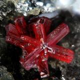 Proustite
Imiter Mine, Imiter, Djebel Saghro, Ouarzazate, Souss-Massa-Draâ, Morocco
fov 4 mm (Author: Rewitzer Christian)