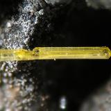 Thorikosite
Lavrion, Attika, Greece
fov 3 mm (Author: Rewitzer Christian)