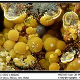 Cacoxenite, beraunite
Fumade, Castelnau-de-Brassac, Tarn, Midi-Pyrénées, France
fov 3 mm (Author: ploum)