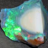 Precious Opal
Stonetree Opal Mine Group, Virgin Valley, Humboldt County, NV, USA
4.0 x 3.5 cm (Author: Chris Wentzell)