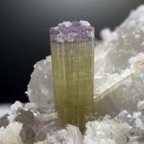 Elbaite
Rosina vein, San Piero in Campo, Campo nell’Elba, Elba Island, Livorno Province, Tuscany, Italy
12.32 mm Elbaite crystal with purple termination (Author: Matteo_Chinellato)