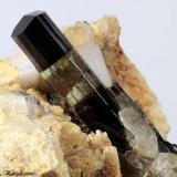 Elbaite
Grotta d’Oggi Quarry, San Piero in Campo, Campo nell’Elba, Elba Island, Livorno Province, Tuscany, Italy
19.10 mm Elbaite with " Moor’s head " termination (Author: Matteo_Chinellato)