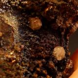 Piromorfita, GoethitaEl Horcajo Mines, El Horcajo, Almodóvar del Campo, Comarca Campo de Calatrava, Ciudad Real, Castilla-La Mancha, SpainTamaño milimétrico, fotos en formato macro (Autor: javier ruiz martin)