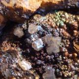 Piromorfita, GoethitaEl Horcajo Mines, El Horcajo, Almodóvar del Campo, Comarca Campo de Calatrava, Ciudad Real, Castilla-La Mancha, SpainTamaño milimétrico, fotos en formato macro (Autor: javier ruiz martin)