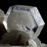 Beryl Var: Vorobyevite
La Speranza (Pisani’s Quarry), San Piero in Campo, Campo nell’Elba, Elba Island, Livorno Province, Tuscany, Italy
0.41 cm. tabular zoned crystal of Beryl. Ex- F.Pezzotta Collection (Author: Matteo_Chinellato)