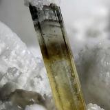 Elbaite
Rosina vein, San Piero in Campo, Campo nell’Elba, Elba Island, Livorno Province, Tuscany, Italy
4.42 mm yellow-brown Elbaite with Albite on termination (Author: Matteo_Chinellato)