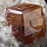 Spessartine
Rosina vein, San Piero in Campo, Campo nell&rsquo;Elba, Elba Island, Livorno Province, Tuscany, Italy
Spessartine 7 mm rhombododecahedral crystal with icositetrahedral faces (Author: Matteo_Chinellato)