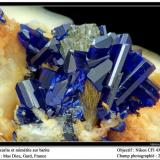 Azurite and mimetite
Mas Dieu, Mercoirol, Gard, France
fov 2.5 mm (Author: ploum)