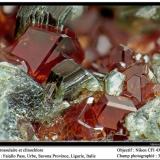 Grossular and clinochlore
Faiallo Pass, Urbe, Savona, Liguria, Italy
FOV 3 mm (Author: ploum)