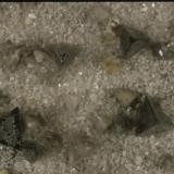 Chambersite
Venice Salt Dome, Venice, Louisiana, USA
About 5 mm. on edge
Photo: Jeff Scovil (Author: Jordi Fabre)