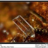 Barite
Mas Dieu, Mercoirol, Gard, France
fov 3 mm (Author: ploum)