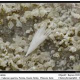 Scolecite
Cadarese Quarries, Premia, Antigorio Valley, Ossola Valley, Piedmont, Italy
fov 20 mm (Author: ploum)