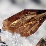 Titanite
Montenero quarry, Onano, Viterbo Province, Latium, Italy
1.74 mm orange Titanite crystal (Author: Matteo_Chinellato)