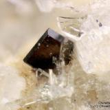 Allanite-(Ce)
Torre di Stracciacappe, Trevignano Romano, Rome Province, Latium, Italy
Tabular brown 0.5 mm Allanite-(Ce) crystal (Author: Matteo_Chinellato)