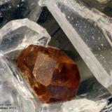 Titanite
Bassano Romano, Viterbo Province, Latium, Italy
0.6 mm orange Titanite crystal (Author: Matteo_Chinellato)