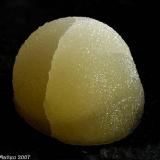 Calcite
Campomorto Quarry, Pietra Massa Locality, Montalto di Castro, Viterbo Province, Latium, Italy
19 mm ball of Calcite (Author: Matteo_Chinellato)