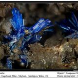 Linarite
Eagles Brook Mine, Wales, UK
fov 1.8 mm (Author: ploum)