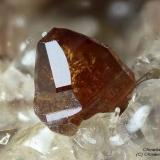 Humite
Monte Somma, Somma-Vesuvius Complex, Naples Province, Campania, Italy
1 mm orange-red Humite crystal (Author: Matteo_Chinellato)