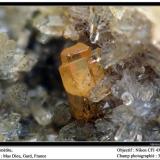 Mimetite,
Mas Dieu, Mercoirol, Gard, France
fov 3 mm (Author: ploum)