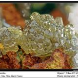 Mimetite,
Mas Dieu, Mercoirol, Gard, France
fov 3 mm (Author: ploum)