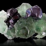 Fluorite, sphalerite, galena.
Naica, Chihuahua, México.
7.4cm x 5.6cm x 5.2cm. (Author: Luis Domínguez)