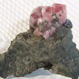 Rhodochrosite with galena.
Santa Eulalia, Chihuahua, México.
2.5cm x 2cm x 1.3cm. (Author: Luis Domínguez)