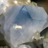 Hauyne
San Vito quarry, San Vito, Ercolano, Monte Somma, Somma-Vesuvius Complex, Naples Province, Campania, Italy
2.84 mm Hauyne blue dark-clear crystal. Collection & Photo M.Chinellato (Author: Matteo_Chinellato)