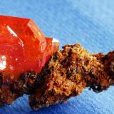 Wulfenita
Red Cloud Mine, Trigo Mountains, La Paz County, Arizona, USA
3x2 cm. (Autor: E. Llorens)