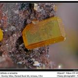 Wulfenite and mimetite
Rowley Mine, Theba, Painted Rock Mts, Maricopa County, Arizona, USA
fov 3.5 mm (Author: ploum)