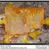 Wulfenite and mimetite
Rowley Mine, Theba, Painted Rock Mts, Maricopa County, Arizona, USA
fov 5 mm (Author: ploum)