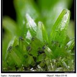 Pyromorphite
La Maladrerie, Villefranche-de-Rouergue, Aveyron, France
fov 3 mm (Author: ploum)