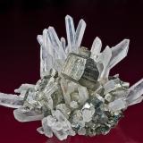 Quartz with Pyrite
Spruce claim, King Co., Washington
12.1 x 8.2 cm (Author: am mizunaka)