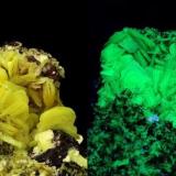 Autunite
Bosco del Corvo, Longobucco, Camigliatello Silano, Sila, Cosenza Province, Calabria, Italy
23.76 mm group of Autunite crystals in normaly light - left - and under UV large band light - right. Collection & Photo Matteo Chinellato (Author: Matteo_Chinellato)