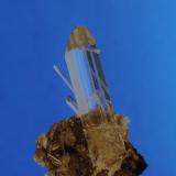 Yeso
Mina Balsa Depositaria. La Unión. Murcia. España
Cristal de 35x13x13 mm
Recolectado en 2001. Entrar en esta mina es espectacular y una paliza considerable. (Autor: Daniel Agut)