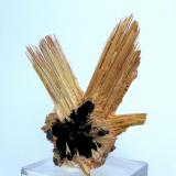 Rutile, hematite
Novo Horizonte, Bahia, Brazil
65 mm x 55 mm (Author: Carles Millan)