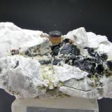 Rubelita bicolor + Cuarzo + Chorlo + Granate
Cártama - Málaga - Andalucía -  España
14 x 11 cm
Cristal de 1.3 cm (Autor: Diego Navarro)