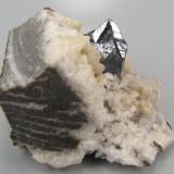 Cinabrio, dolomita
Yanwuping Mine, Wanshan, Tongren, Guizhou, China
62 mm x 50 mm (Autor: Carles Millan)