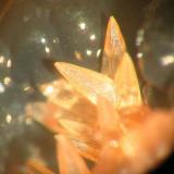 Rhodochrosite
Wolf mine, Herdorf, Siegerland, Germany
crystals up to 3 mm (Author: Andreas Gerstenberg)