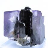 Fluorite, ferberite, arsenopyrite, mica
Yaogangxian Mine, Yaogangxian W-Sn ore field, Yizhang Co., Chenzhou Prefecture, Hunan Province, China
37 mm x 37 mm (Author: Carles Millan)